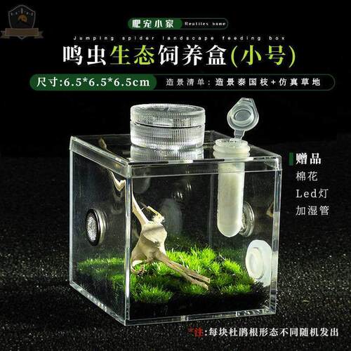 蝈蝈笼子小蜘蛛跳蛛盒兰花螳螂观察盒黄蛉扎嘴鸣虫饲养盒观赏盒透