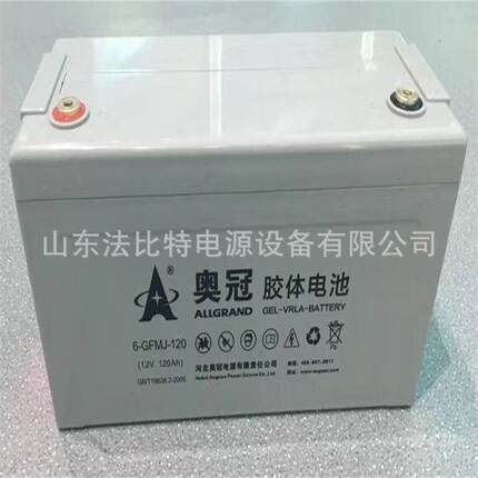 奥冠太阳能蓄电池6-GFMJ-200光伏发电12V200Ah太阳能储能发电