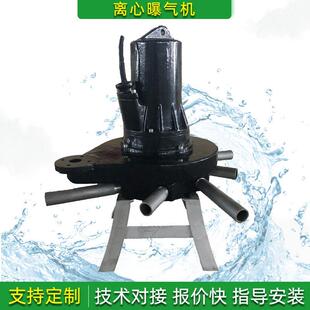 定制潜水曝气机沉水式自吸式射流推流氧机小型可提升离心曝气器