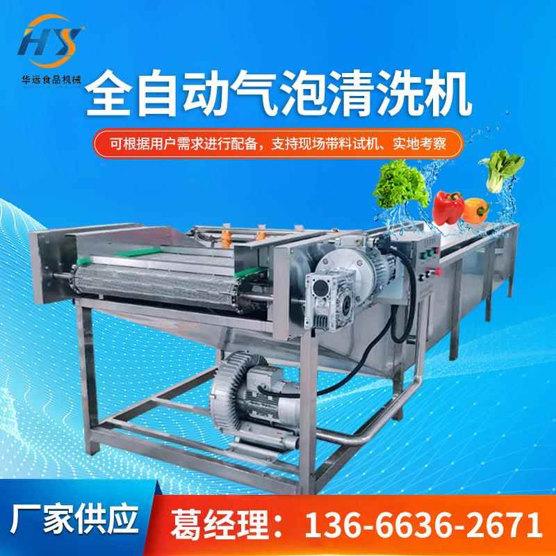 气泡清洗机 豆芽甘蓝菜果蔬清洗机 柴胡清洗机 中药材清洗机设备