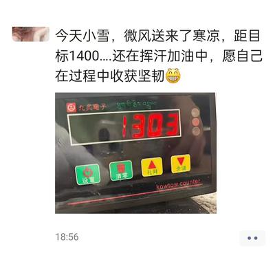 十六年自动感应磕头计数