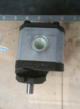 意大利RONZIO罗茨02ZAG31C035D（排量31）全系齿轮泵 液压马达