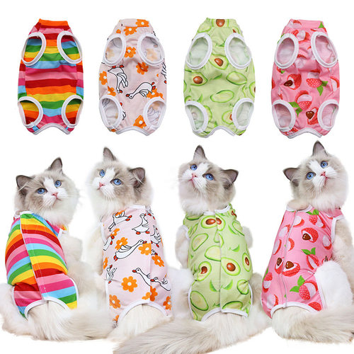 狗狗猫猫绝育手术衣服衣服雨衣