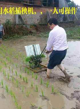 水稻手摇秧机 小型单行YPA双稻行种水用稻苗机器插家水田用水插秧