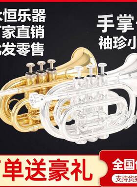 YONGHENG 永恒手掌号 降B调 小号乐器 袖珍小号镀银金色 考级演奏