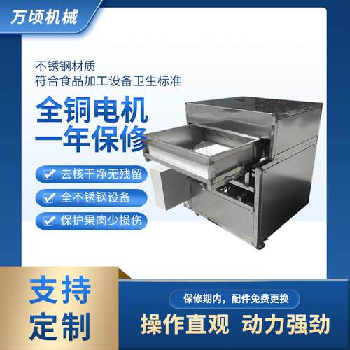 供应转盘式红枣去核机全自动脱核设备可切口