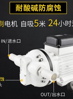 大流量0升耐泵酸碱自吸泵4FL-550业电动隔膜泵防腐蚀工抽药次Ause