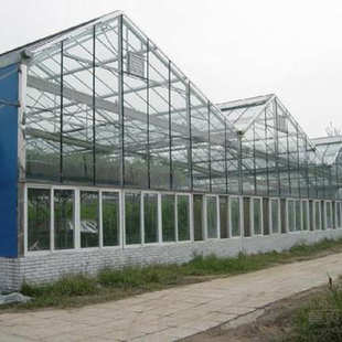 蔬菜大棚生态餐厅阳光板温室园林种植大棚工程建设阳光温室大棚