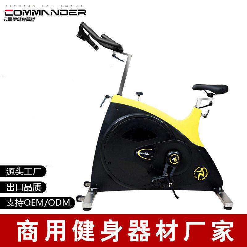 动感车家用小型智能磁控静音室内有氧运动自行车健身房器材