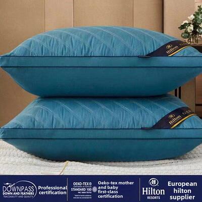 Bedding Pillow Neck Protection Sleeping Pillows 舒适枕头枕芯