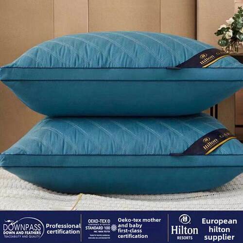 Bedding Pillow Neck Protection Sleeping Pillows 舒适枕头枕芯