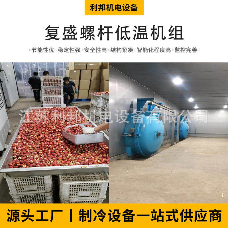 冻干设备冻干机低温制冷系统山楂速冻榴莲速冻冷库建设
