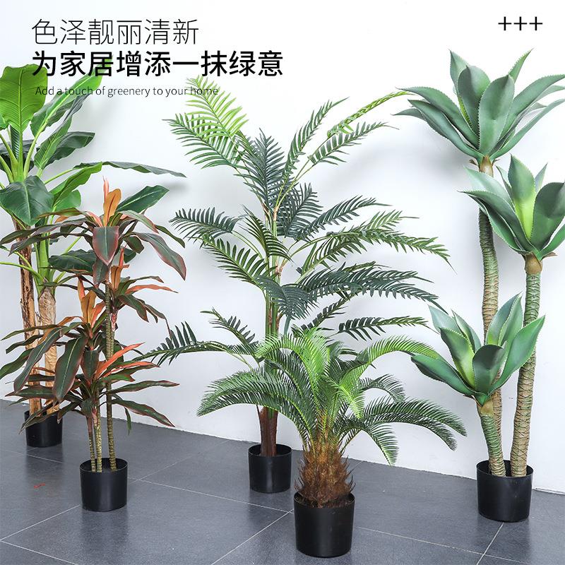 大型仿真盆栽龙舌兰盆景沙漠热带假绿植室内造景装饰落地摆件