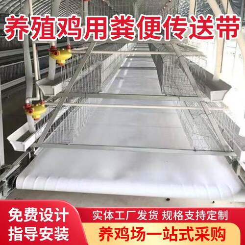 农用鸡粪鸽子粪出粪拖粪带动物粪便输送带养鸡用清粪带输送带
