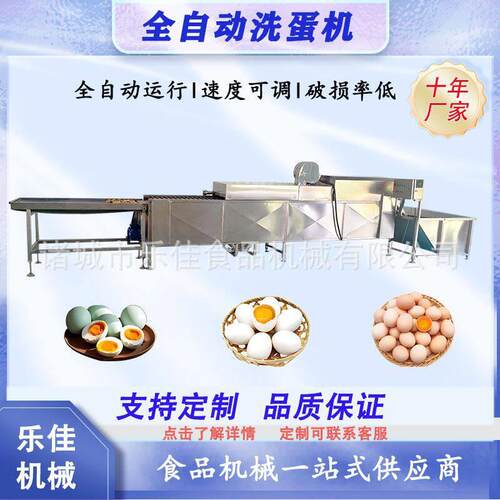 五香蛋加工前段洗蛋机  双排无菌蛋洗蛋机  养殖场禽蛋清洗流水线