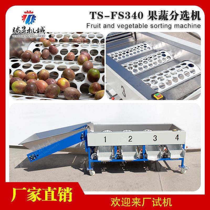 自动柑橘选果机柠檬筛选分级机果场专用滚杠选果机水果分选机