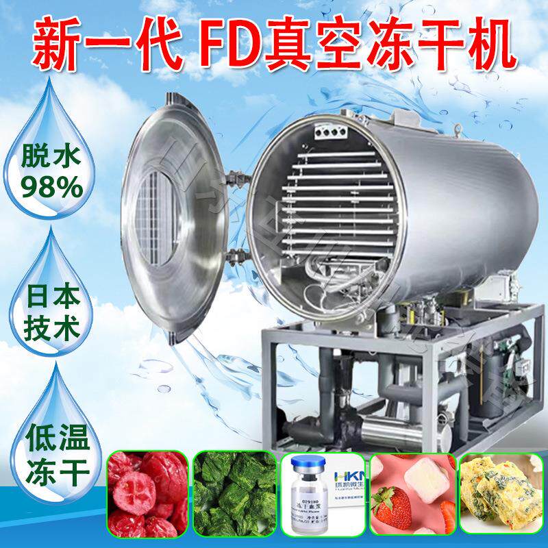 商用泰国金枕榴莲肉大型FD冷冻干燥机马来西亚猫山王榴莲冻干机