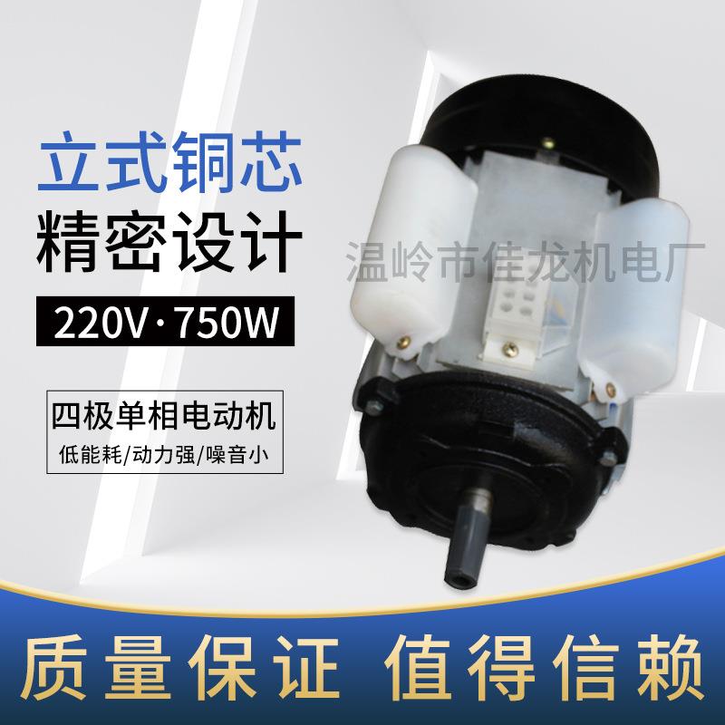 立式 铜芯厂家直供220V 750W 四极单相电动机 胶装机切纸机械设备