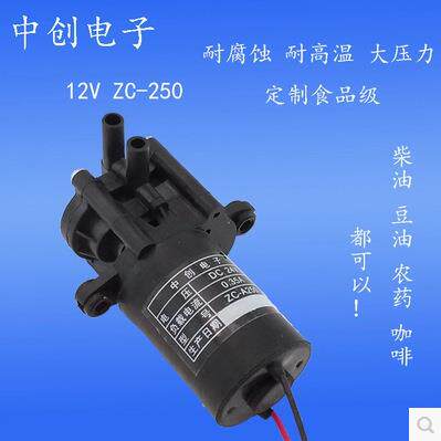 腐蚀1泵2v伏充电桩油循环泵CNI微型热水化工耐泵自吸直流水泵齿轮
