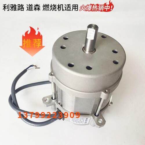 利雅路燃烧机电机BS2 BS3 BS4 RS5 FS10 FS20电机马达250W 150W