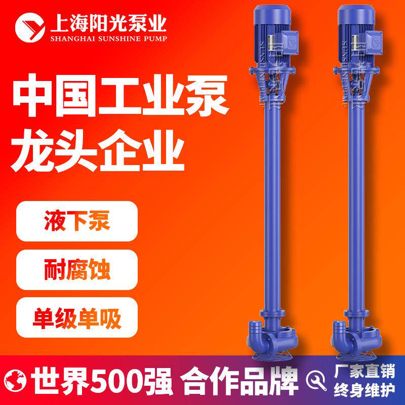 NL系列污水泥浆泵液下排污泵边立式铸铁液下泵离心泵耐酸碱液下泵