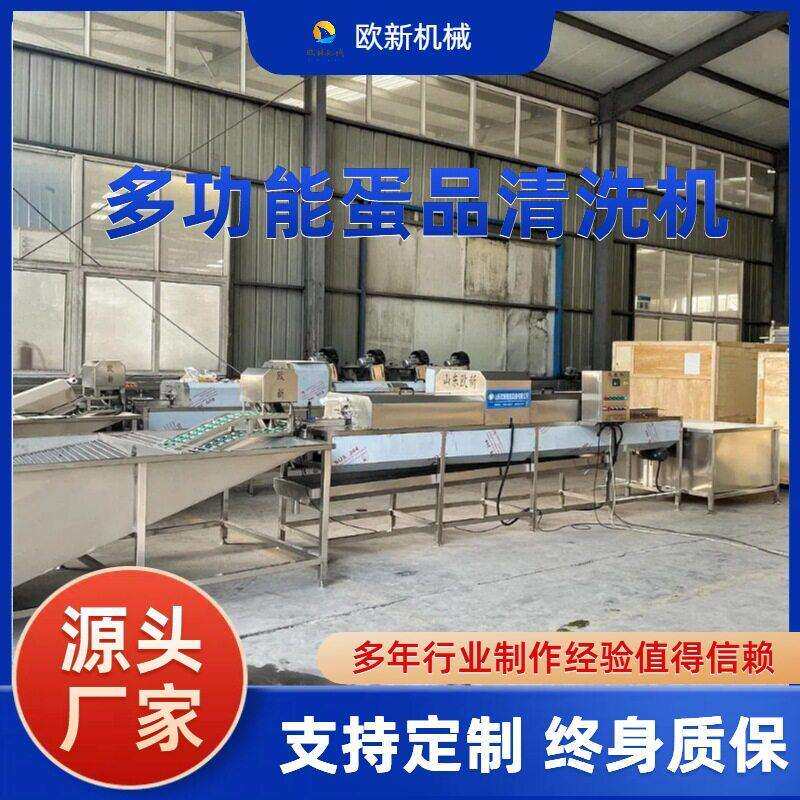 车间全自动洗蛋机鸡蛋咸鸭蛋保洁蛋清洗去泥设备养殖场脏蛋清洗机