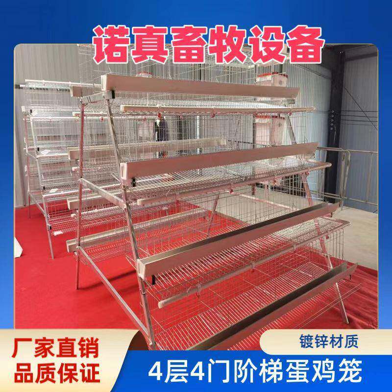 四层四门阶梯式蛋鸡笼A字型蛋鸡笼镀锌材质工厂直发外贸出口