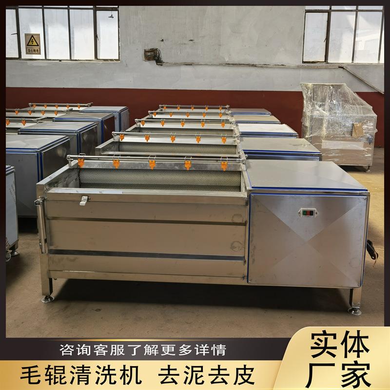 鱼虾海鲜清洗机带壳鲜花生毛辊去泥沙机器食品厂辣根毛辊脱皮设备