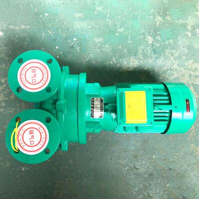 工厂直发2BV水环力式真空验环泵工业铸铁高HIA真空大吸水循泵支持