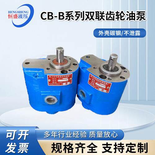 两进两出CB-B16/20B10B32B80B4CB-B25/6双联润滑齿轮抽油泵