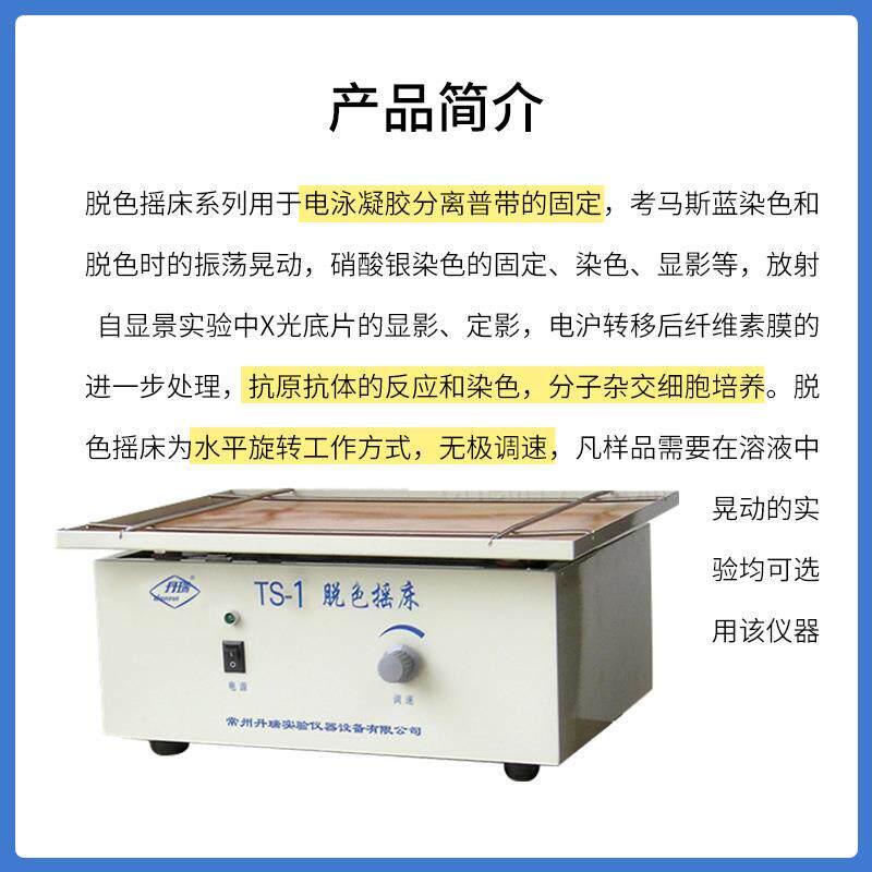 脱色摇床电泳凝胶分离普带固定专业常用恒温实验设备常州丹瑞仪器