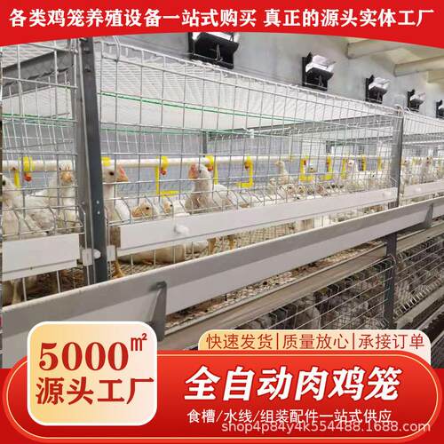 自动化养鸡设备大型养殖鸡舍肉鸡笼投喂养殖镀锌笼阶梯式养鸡设备