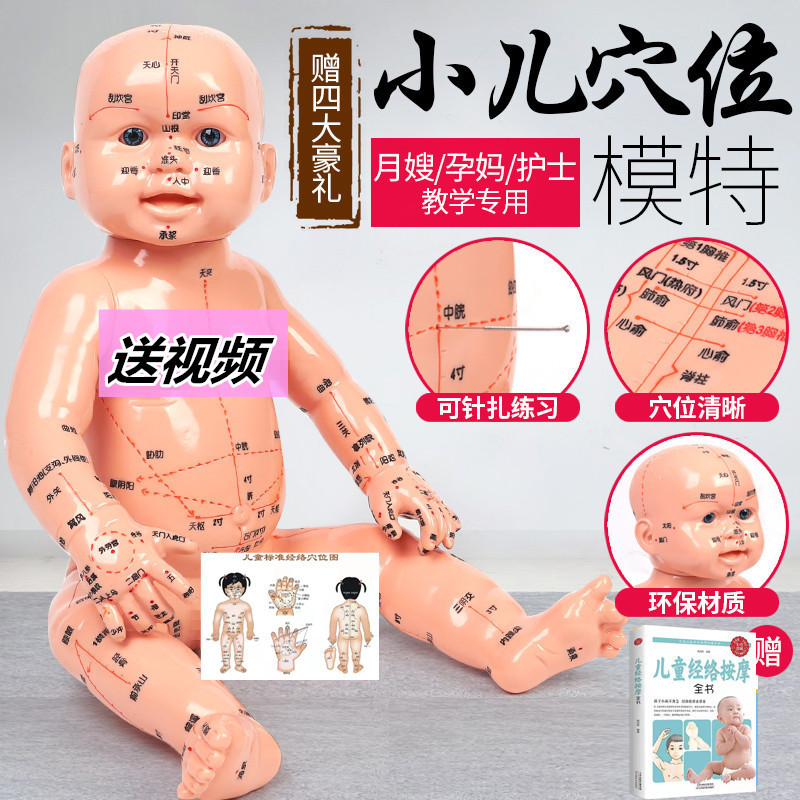 小儿推拿推拿模型培训娃娃模型