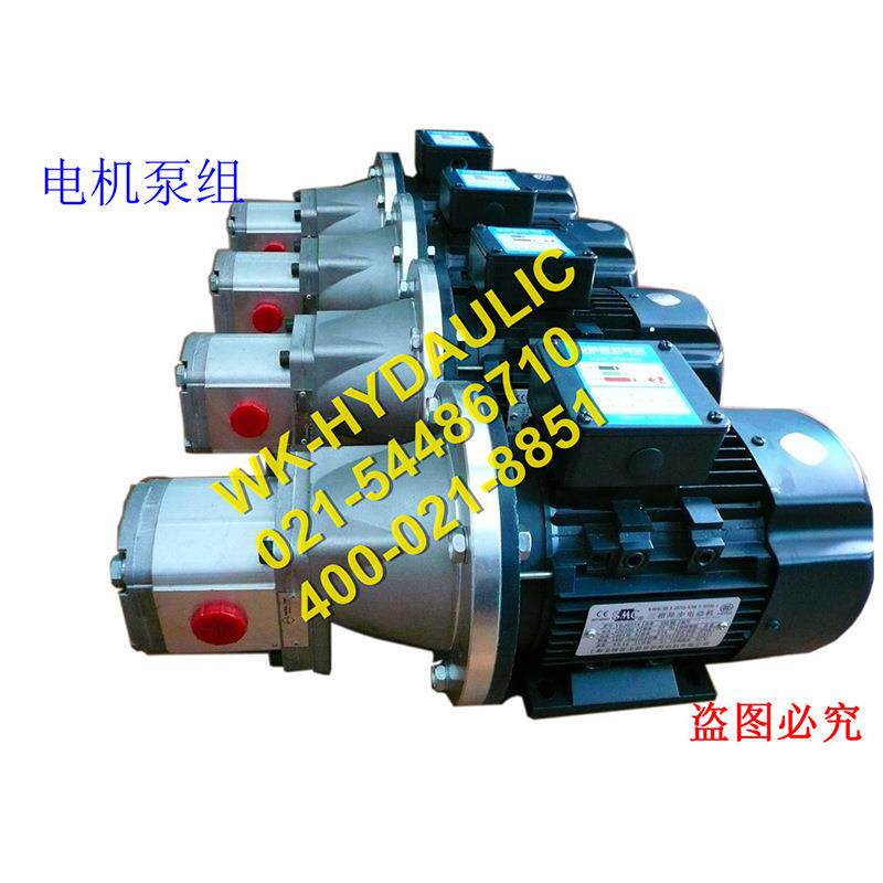 厂家直销高压WHP2B1-M系列电机齿轮泵组,270bar