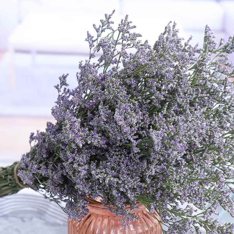 干花情人草天然风干真花家居花束客厅装饰插花摆设小清晰ins