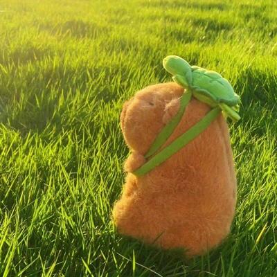 23cm Capybara Plush Simulation Capibara Anime Fluffty Toy Cu