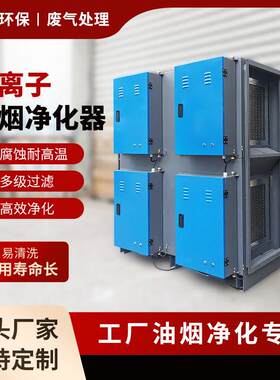 等离子油烟净化器工业环保油雾除味烧烤废气处理设备静电油烟净化