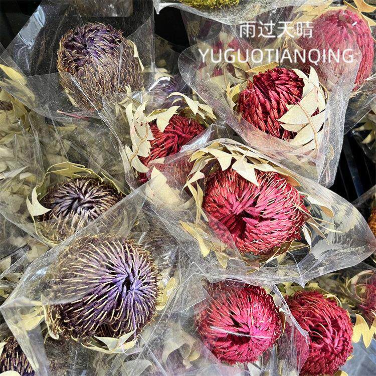 班克木干 干燥花进口永生花圆形佛塔鸟巢干 干燥花轻奢高端家居软