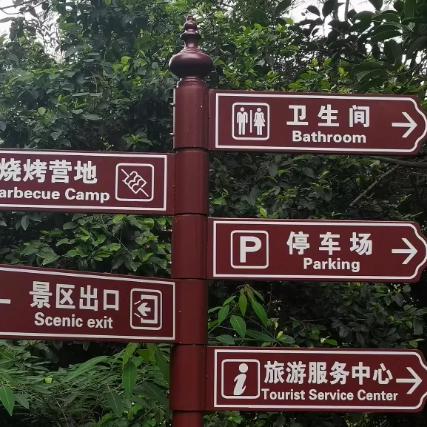 导向牌新款分流小区指示牌户外指路牌立式分流标识牌引导牌指引牌