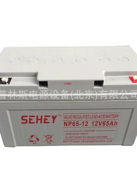 德国西力蓄电池12V65AHNP12-65太阳能光伏路灯房车监控备用电源