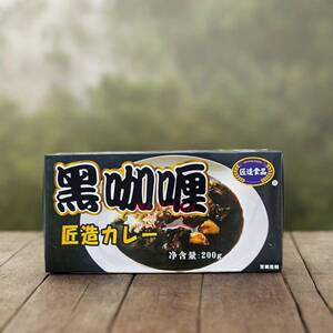 匠造食品 黑咖喱块200gX10盒 黑色浓厚新口味日式速食拌饭酱调味