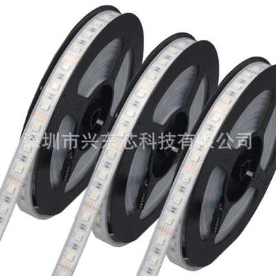 12V 5050RGBW四合一彩色低压软灯带裸板套管防水60灯高亮柔性灯条