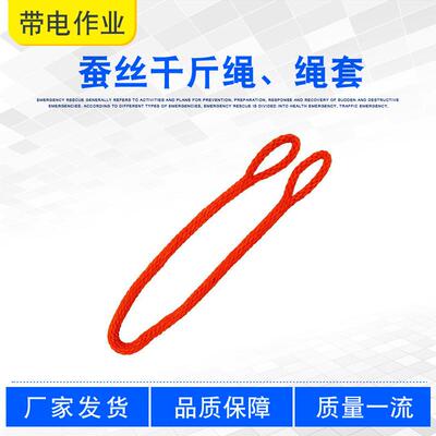无接头电力安全吊绳带电作业蚕丝千斤绳双扣防潮绝缘绳套ZF010910