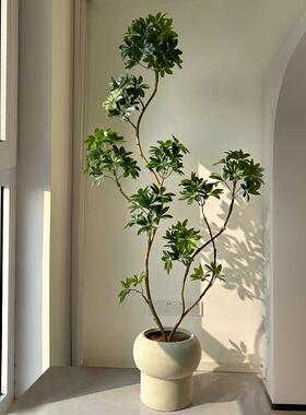 海虹景品鸭脚木彷真绿色植物室内彷生盆栽高端轻奢客厅大型落地假