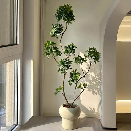 海虹景品鸭脚木彷真绿色植物室内彷生盆栽高端轻奢客厅大型落地假