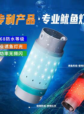 充电式水下诱鱼灯船用 遇水即亮集鱼拖网鱿鱼灯 长续航 青光 红光