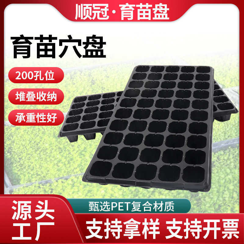 源头工厂育苗盘穴盘多肉蔬菜32穴塑料培育盆育秧种植50穴育苗穴盘