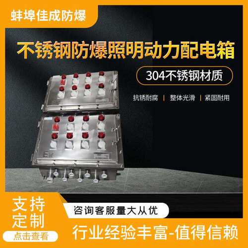 防爆照明动力配电箱 不锈钢防爆箱 隔爆配电装置 防护IP66