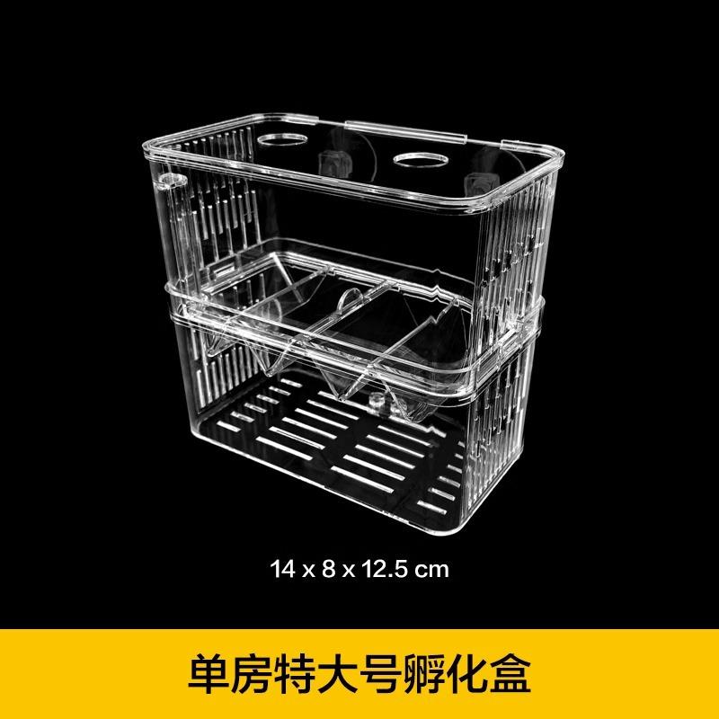 热带鱼孵化器存活率鱼缸孵化器