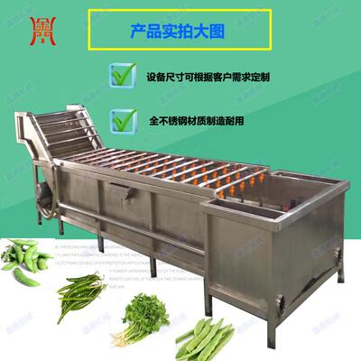 不锈钢柑橘气泡清洗机食堂蔬菜清洗机净菜加工清洗机设备厂家